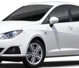SEAT IBIZA 2011 Balatas Traseras No. Orden 31009S302